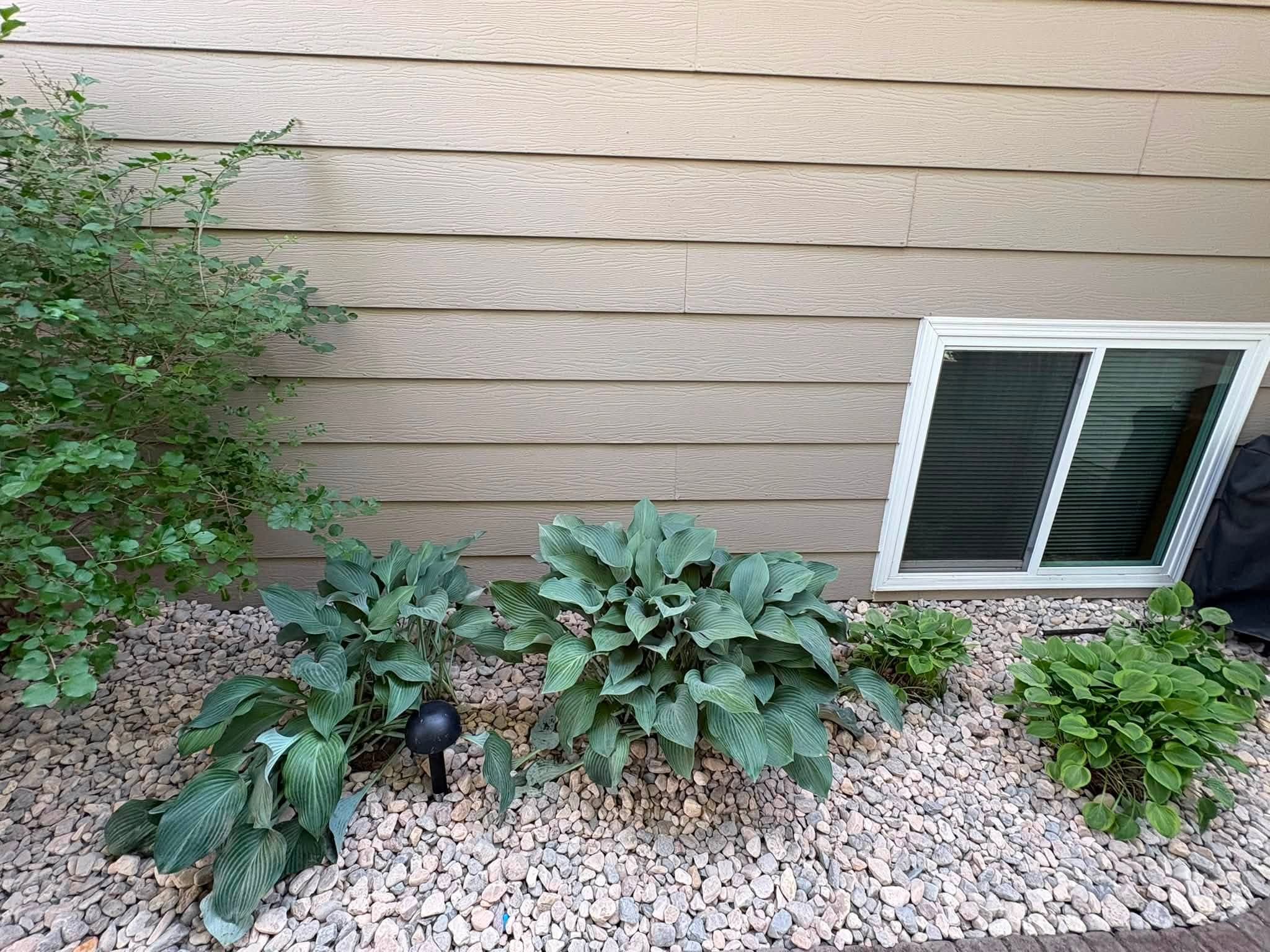 Hosta bed edged with river rock