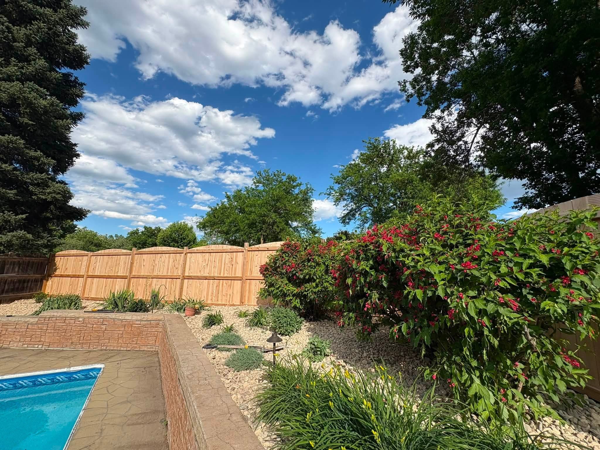 Poolside landscaping with shrubs