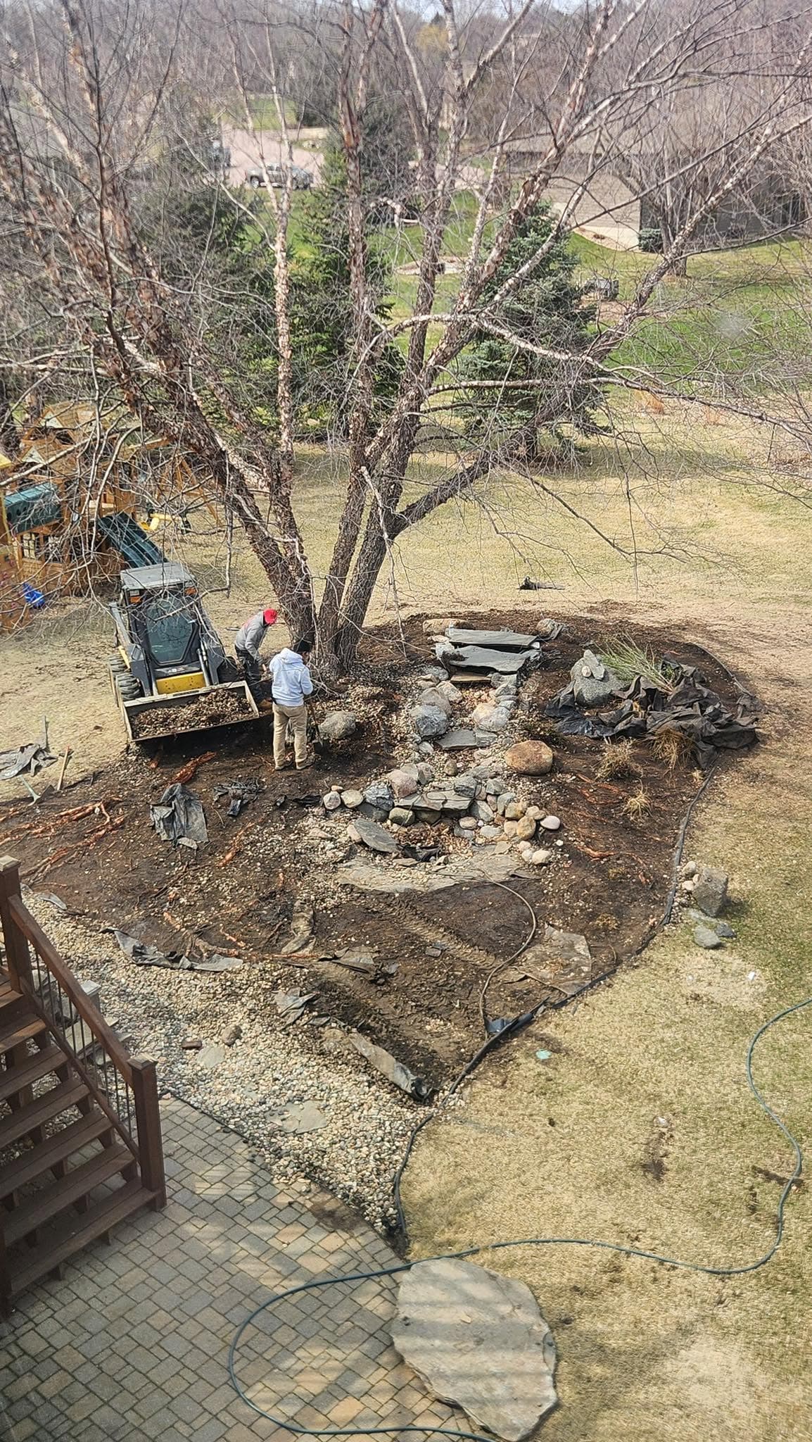 Skid steer hauling rock as the crew builds a boulder bed around a tree