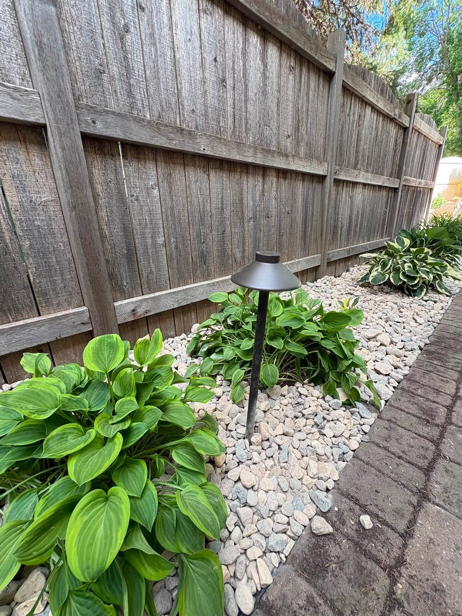 Landscape lighting along a fence line with hostas